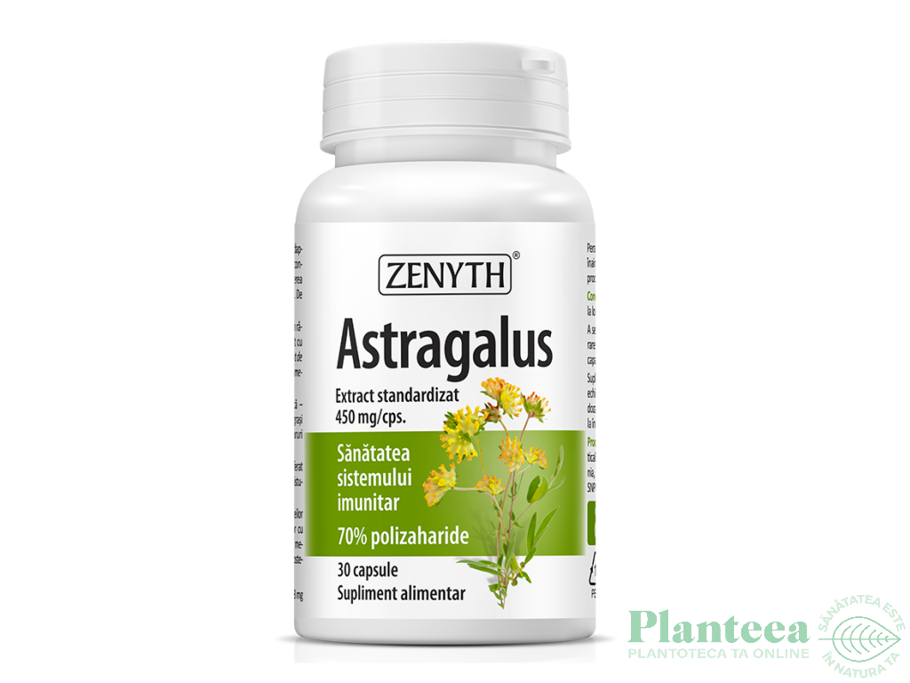 Astragalus 30cps - ZENYTH