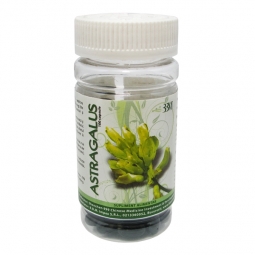 Astragalus 100cps - SHENZHEN 999 CHINESE MEDICINE