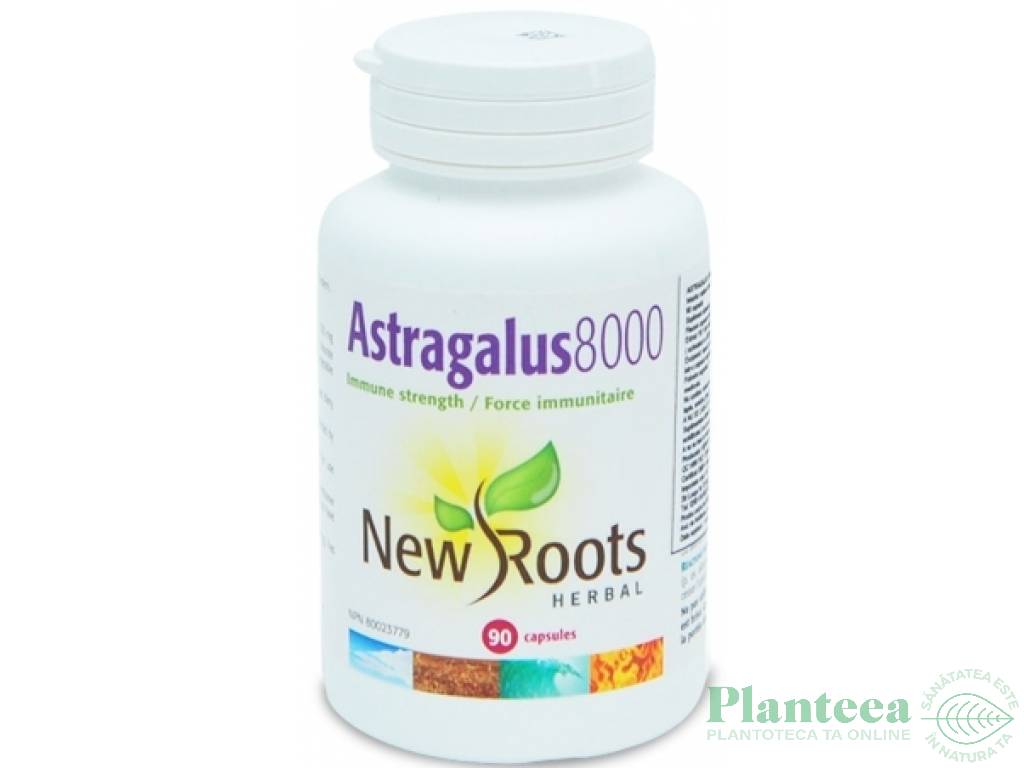 Astragalus 8000mg 90cps - NEW ROOTS HERBAL