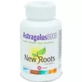 Astragalus 8000mg 90cps - NEW ROOTS HERBAL