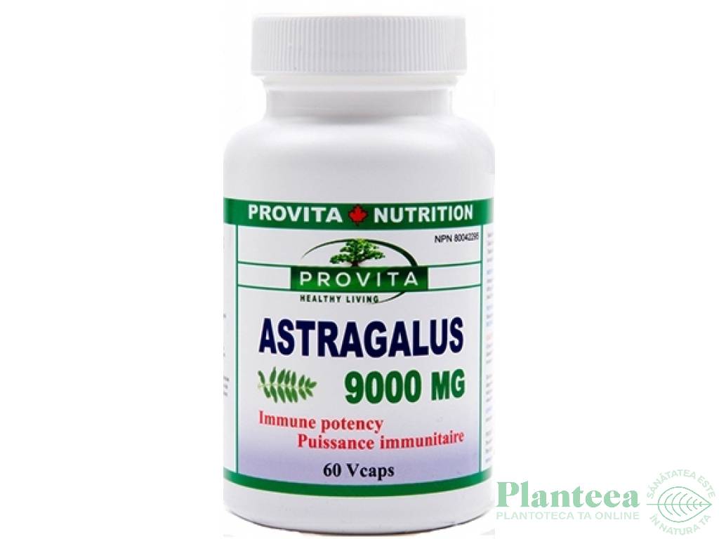 Astragalus 9000mg 60cps - PROVITA NUTRITION