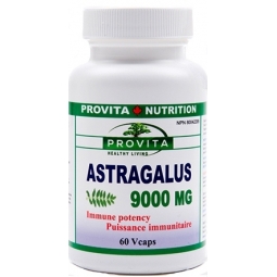 Astragalus 9000mg 60cps - PROVITA NUTRITION