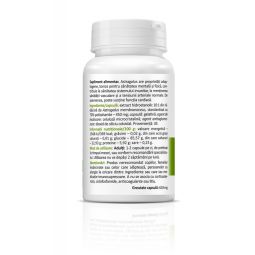 Astragalus 30cps - ZENYTH