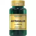 Astragalus 30cps - COSMO PHARM