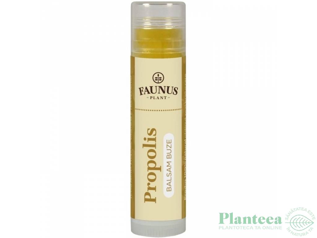 Balsam buze propolis 5ml - FAUNUS PLANT