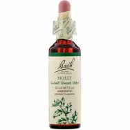 Picaturi florale holly nr15 20ml - BACH REMEDIES