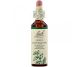 Picaturi florale holly nr15 20ml - BACH REMEDIES