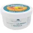 Balsam galbenele propolis Maria Treben 30ml - TRANSVITAL