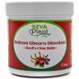 Balsam gheara diavolului 250ml - SEVA PLANT