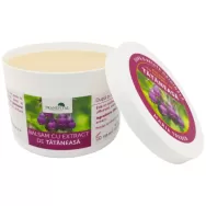 Balsam tataneasa Maria Treben 150ml - TRANSVITAL