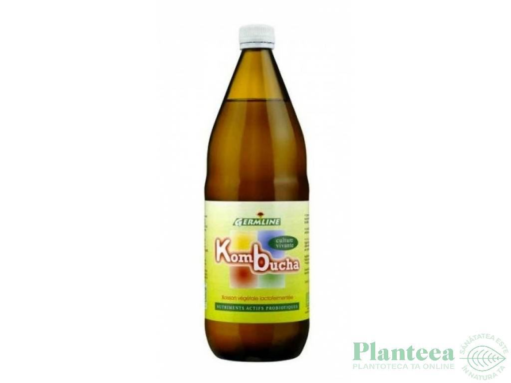 Bautura kombucha eco 1L - GERMLINE