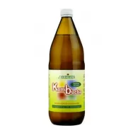 Bautura kombucha eco 1L - GERMLINE