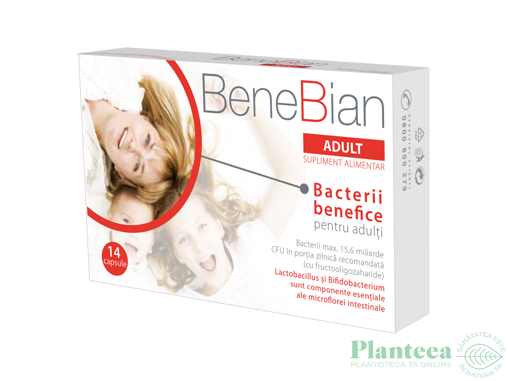 BeneBian adult 14cps - WALMARK