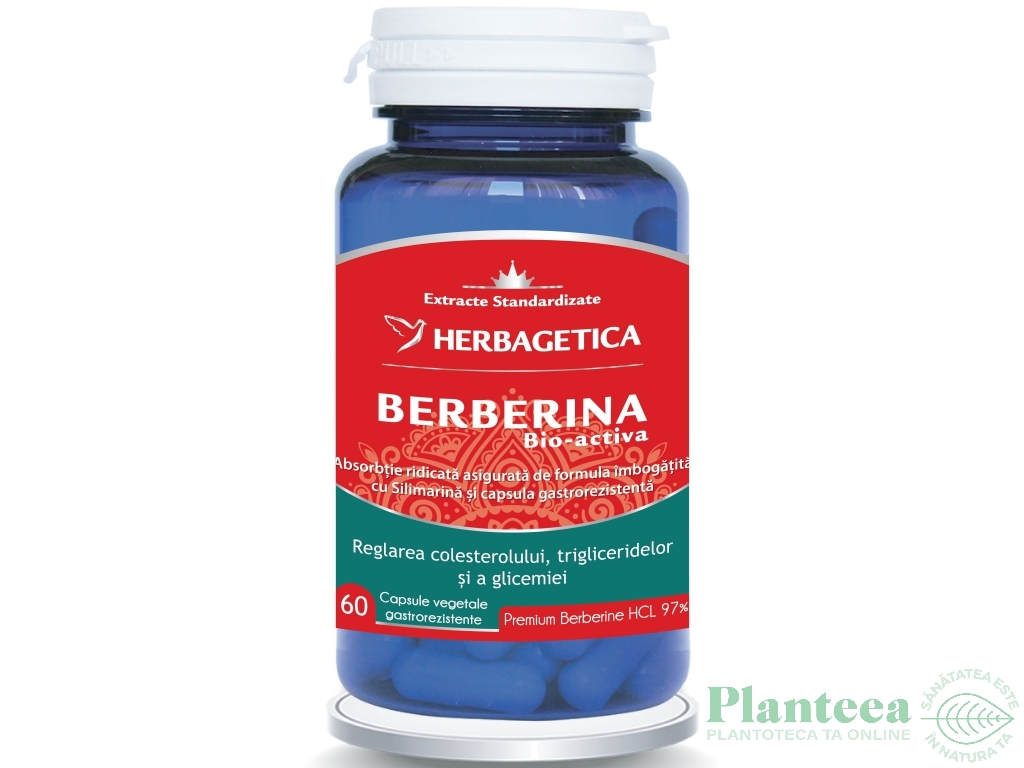 Berberina bio activa 60cps - HERBAGETICA