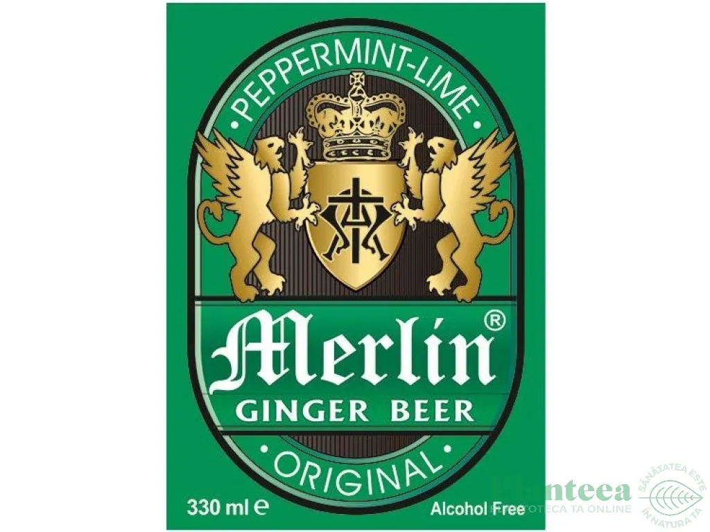 Bere ghimbir peppermint lime 330ml - MERLIN