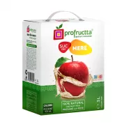 Suc mere natural 3L - PROFRUCTTA