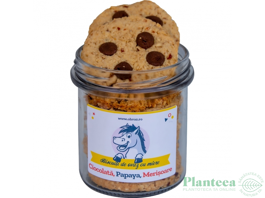 Biscuiti ovaz ciocolata papaya merisoare 160g - OHVAZ