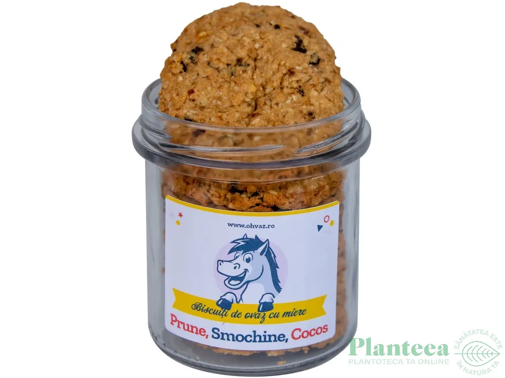 Biscuiti ovaz prune cocos smochine 170g - OHVAZ