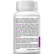 Black Cohosh 30cps - ZENYTH