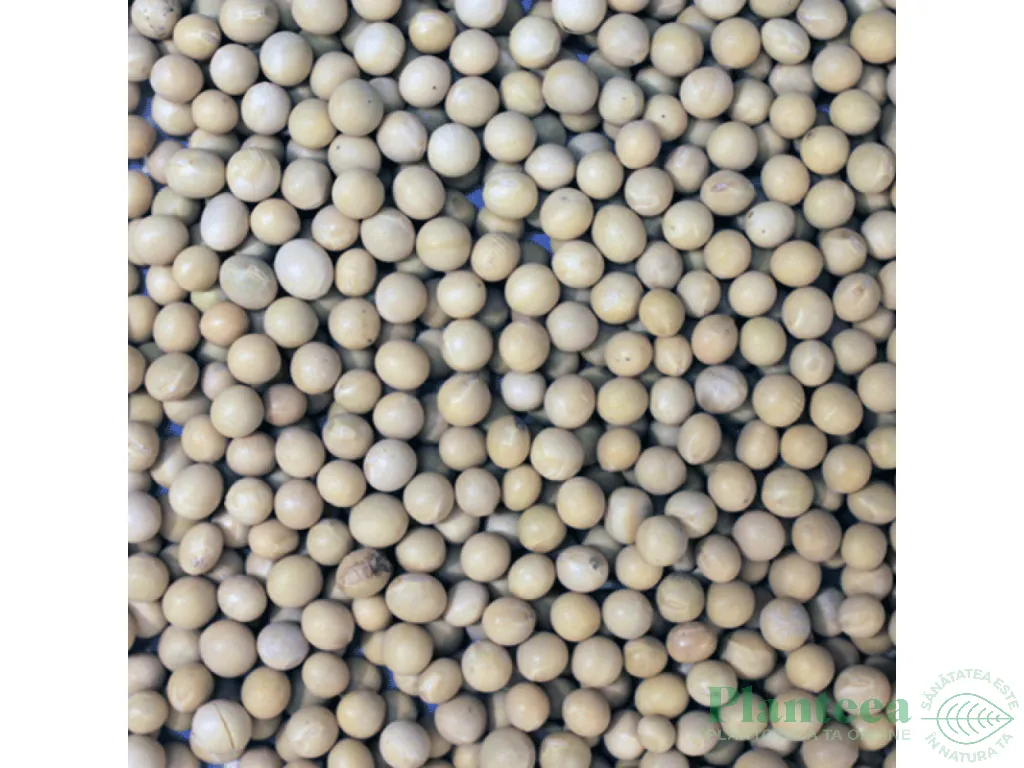Soia boabe eco 500g - INFINITY FOODS