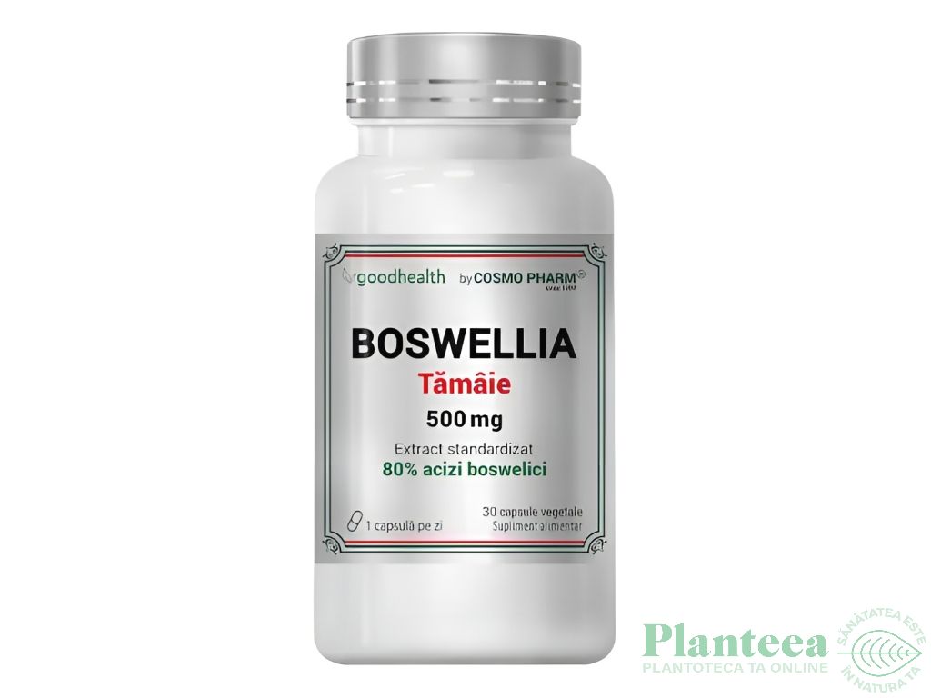 Boswellia serrata [tamaie] 500mg 30cps - COSMO PHARM