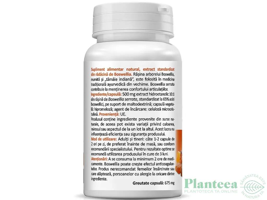 Boswellia 30cps - ZENYTH