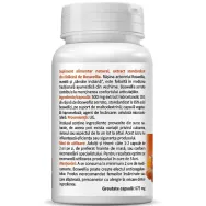 Boswellia 30cps - ZENYTH