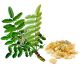 Tamaie extract [boswellia] 2x30cps - DVR PHARM