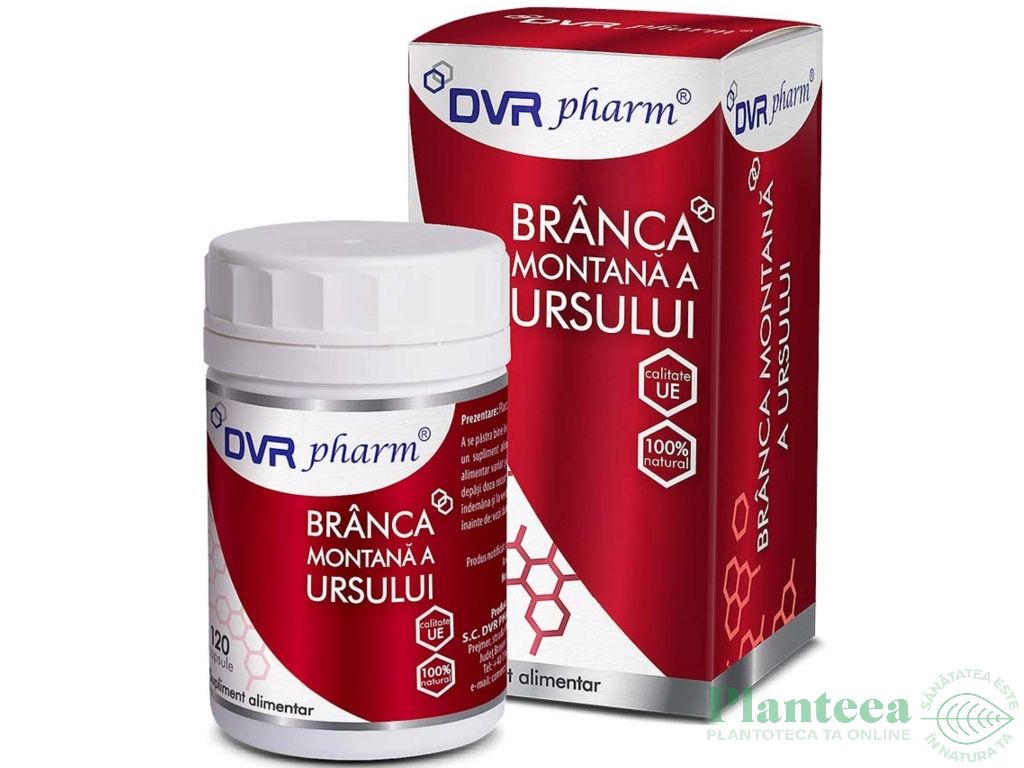 Branca ursului montana 120cps - DVR PHARM