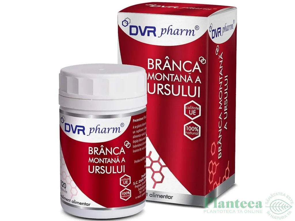 Branca ursului montana 120cps - DVR PHARM