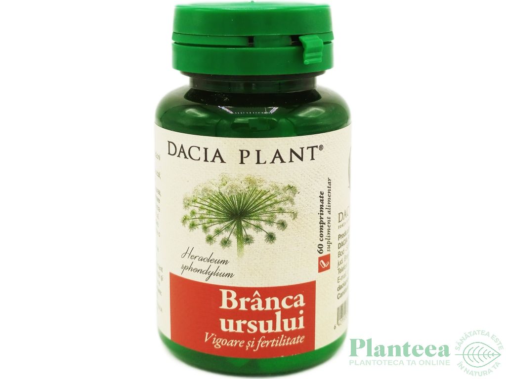 Branca ursului 60cp - DACIA PLANT