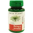 Branca ursului 60cp - DACIA PLANT