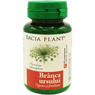 Branca ursului 60cp - DACIA PLANT