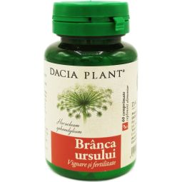 Branca ursului 60cp - DACIA PLANT