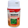Brusture 40cps - FAVISAN