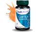 Cartilaj rechin 1x60cps - DVR PHARM