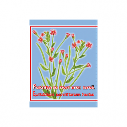 Ceai pufulita flori mici 50g - CYANI