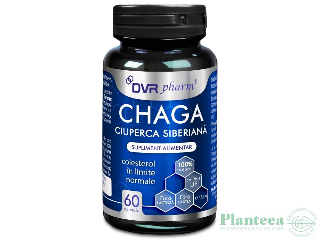 Chaga Ciuperca Siberiana 60cps - DVR PHARM