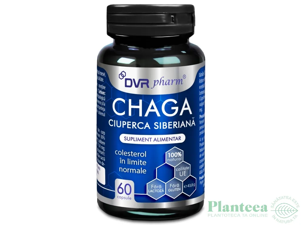 Chaga [Ciuperca siberiana] 60cps - DVR PHARM