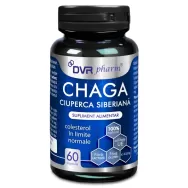 Chaga Ciuperca Siberiana 60cps - DVR PHARM