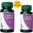 Pachet Cafea verde bioclorogenic 60+30cps - DVR PHARM