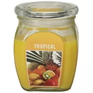 Lumanare parfumata borcan cu capac 60h tropical 630g - BOLSIUS