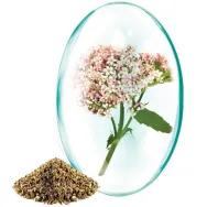 Valeriana 30cps - ROTTA NATURA