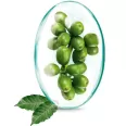 Cafea verde extract 60cps - ROTTA NATURA