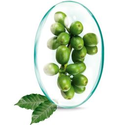 Cafea verde extract 60cps - ROTTA NATURA