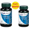 Pachet Cartilaj rechin 60+30cps - DVR PHARM