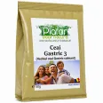 Ceai gastric3 calmant 50g - PLAFAR