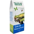 Ceai matase porumb 50g - PLAFAR