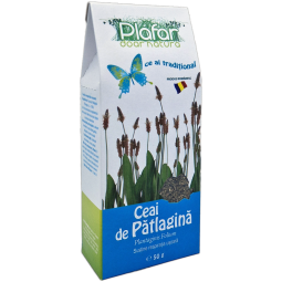 Ceai patlagina 50g - PLAFAR