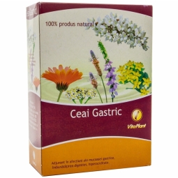 Ceai gastric[ulcer gastrita] 50dz - VITAPLANT